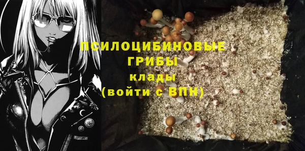прущие крисы Михайлов