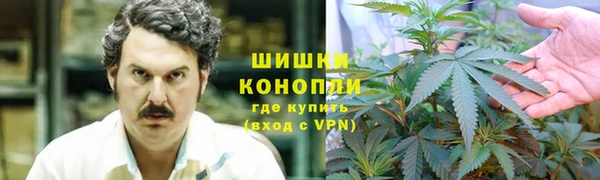 прущие крисы Михайлов