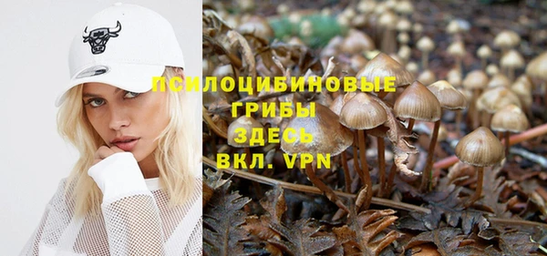 индика Михайловка