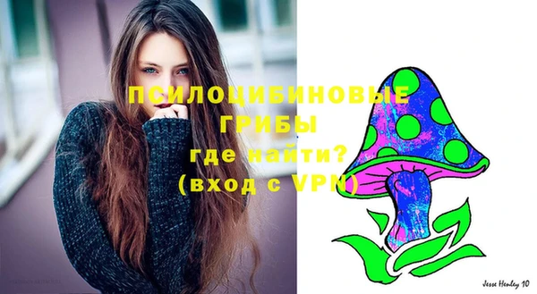 прущие крисы Михайлов