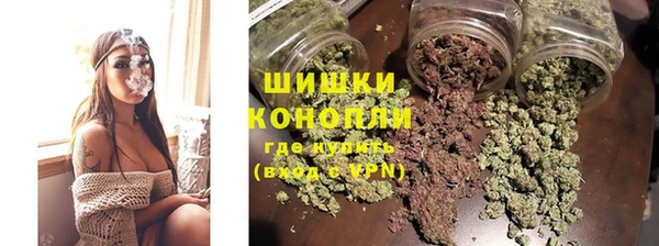 индика Михайловка