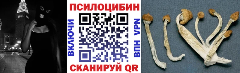 Галлюциногенные грибы Psilocybe  МЕГА зеркало  Циолковский 